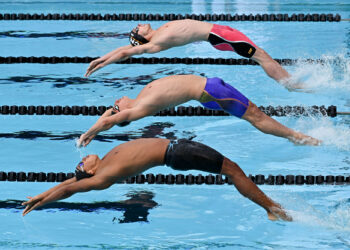 Natation : Les championnats de France Open d’été à Poitiers