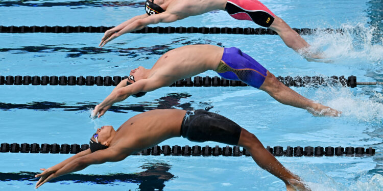 Natation : Les championnats de France Open d’été à Poitiers