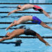 Natation : Les championnats de France Open d’été à Poitiers