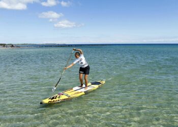 Bayonne sur le terrain du sport féminin