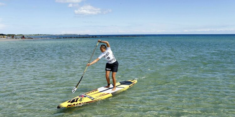 Bayonne sur le terrain du sport féminin