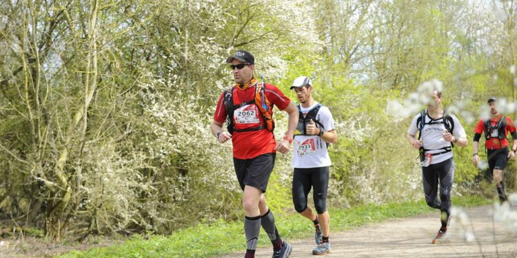 Trail : Le Trail d’Auffargis revient en pleine forme