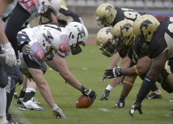Lutte : La relève française à l’assaut de l’Europe