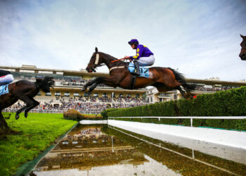 Equitation : Le Grand Steeple Chase de Paris revient