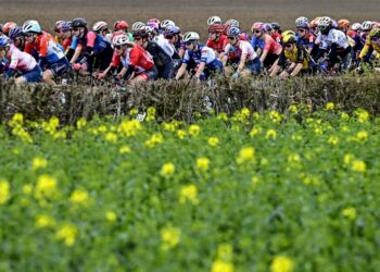 Lutte : Feu d’artifice pour les Bleu(e)s ?