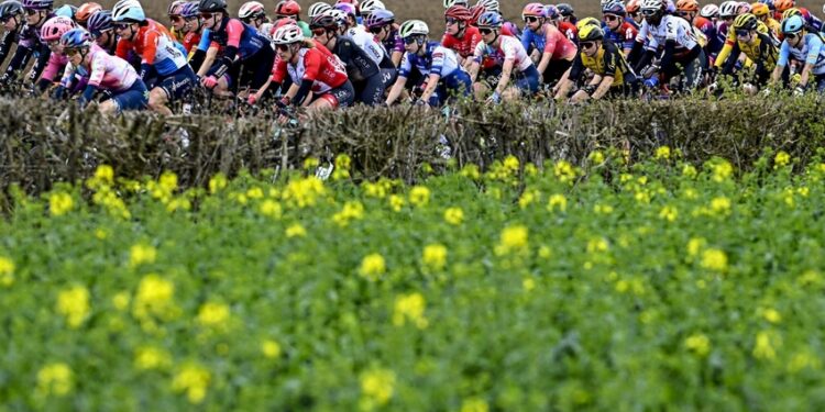 Lutte : Feu d’artifice pour les Bleu(e)s ?
