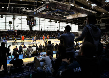 Basket : Le Stade Rochelais maintenu en Pro B