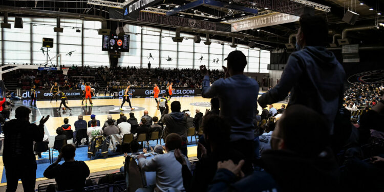 Basket : Le Stade Rochelais maintenu en Pro B