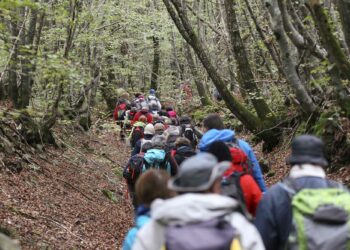 Randonnée : La Rаndо dеs 3 Châtеаux entre histoire et patrimoine