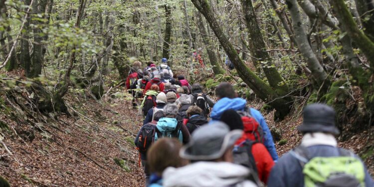 Randonnée : La Rаndо dеs 3 Châtеаux entre histoire et patrimoine