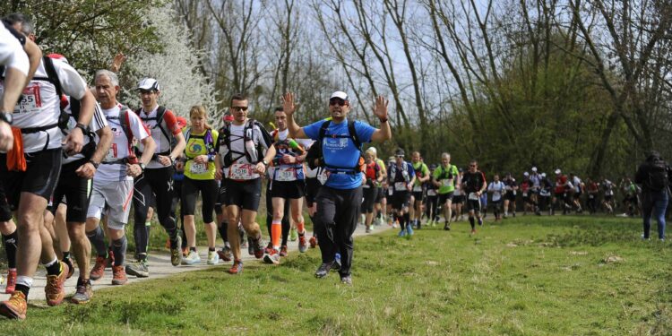 Trail : Les sardines courent à Saint-Gilles-Croix-de-Vie