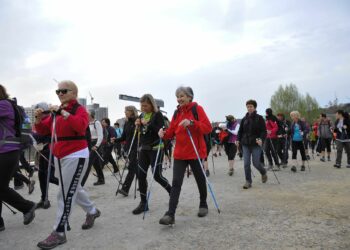 Le Trail du Canal, entre passerelles et échelle de pneus
