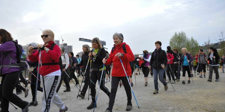 Le Trail du Canal, entre passerelles et échelle de pneus