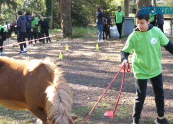 SOP 2023 : L’équitation au rendez-vous au CREPS Île-de-France