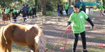 SOP 2023 : L’équitation au rendez-vous au CREPS Île-de-France