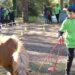 SOP 2023 : L’équitation au rendez-vous au CREPS Île-de-France