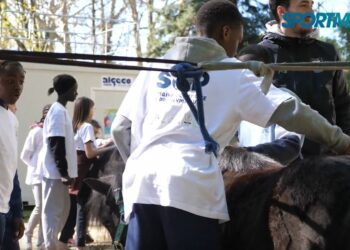 SOP 2023 : Sport et sensibilisation au CREPS Île-de-France