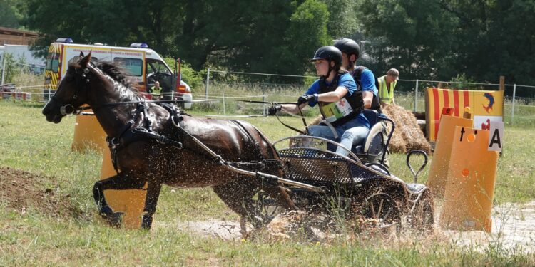 Équitation : Ride & Fun au galop pour la 2e édition