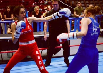 Lutte : Que retenir du championnat de France ?