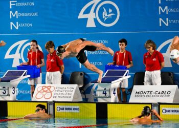 Natation : Mare Nostrum sur le chemin des France