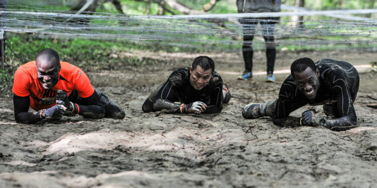 Les Yvelines prêtes à devenir des Fadas !