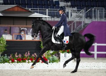 Equitation : Dernière ligne droite avant Paris 2024