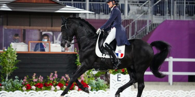 Equitation : Dernière ligne droite avant Paris 2024