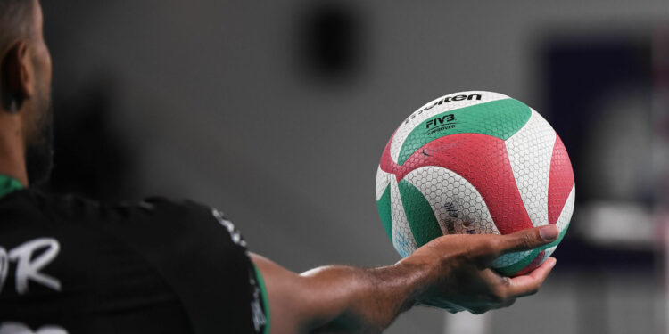 Mathieu Nectoux : « On veut une croissance raisonnée »