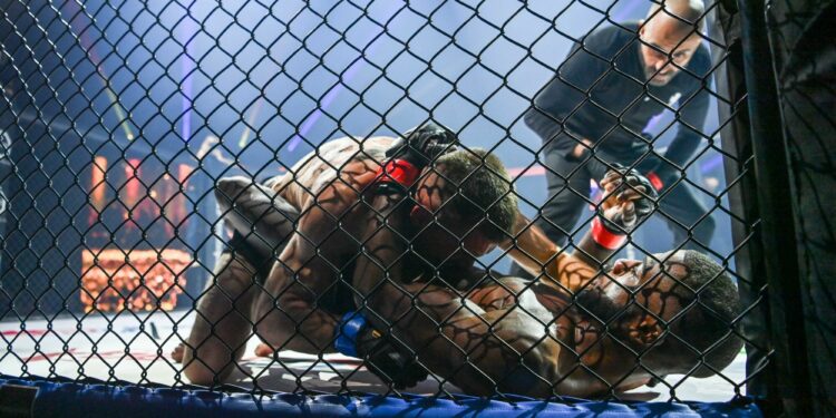 MMA : Comment Evry devient la référence de la discipline