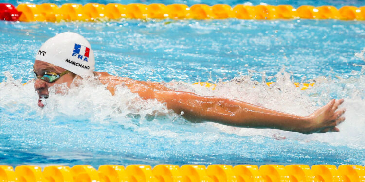 Natation : Rennes, rendez-vous capital pour les Tricolores