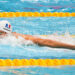 Natation : Rennes, rendez-vous capital pour les Tricolores