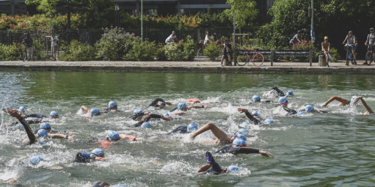 Natation : L’Open Swim Stars promet des sensations fortes