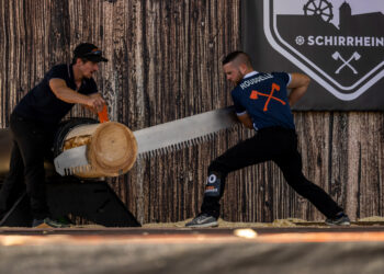 Bûcheronnage sportif : Suprématie nationale en Saône-et-Loire