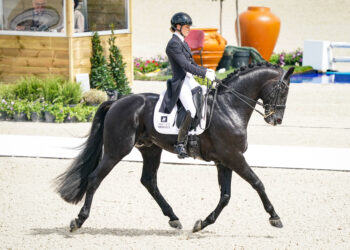 Équitation : le Normandie Horse Show prêt à galoper 