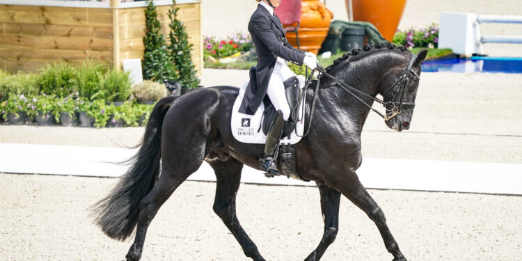 Équitation : le Normandie Horse Show prêt à galoper 
