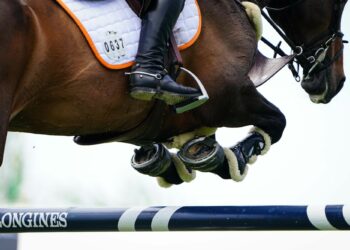 Équitation : Le Vercors passe en mode jumping