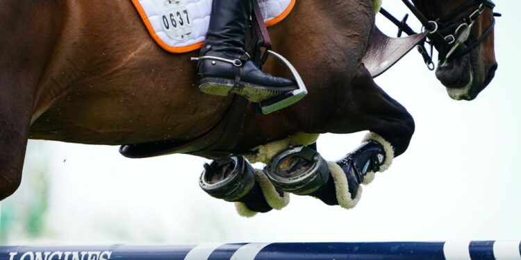 Équitation : Le Vercors passe en mode jumping