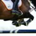 Équitation : Le Vercors passe en mode jumping