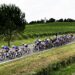 Tour de France 2023 : La Grande Boucle à la fête en Occitanie