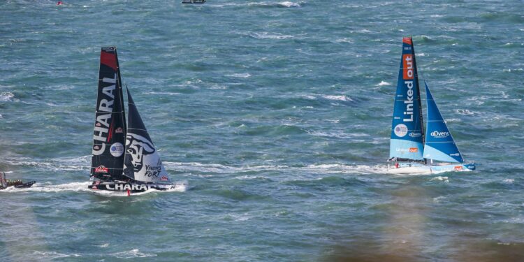 Voile : 30e glorieuse pour la Transat Jacques Vabre