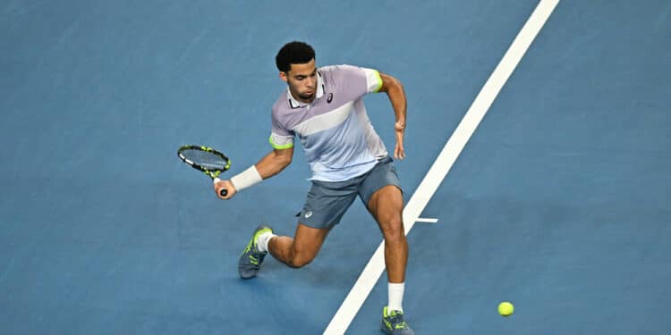 Tennis : La Coupe Davis dans le viseur des Bleus