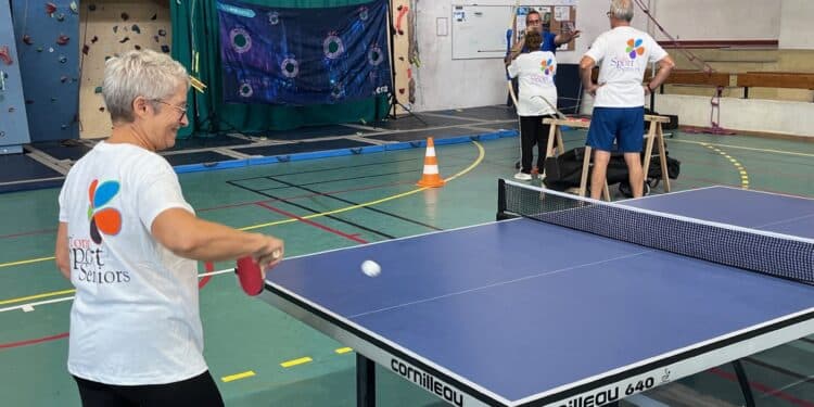 Dans l’Yonne, cap sur le sport pour les seniors !