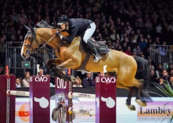 Équitation : Un air d’olympisme au Jumping de Bordeaux