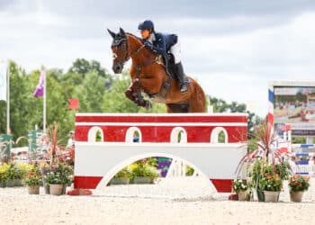 Équitation : Dernière ligne droite pour les cavaliers à Lignières 