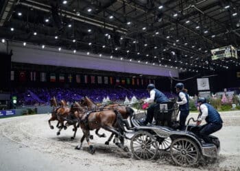 Équitation : La France au coeur des Mondiaux d’attelage 