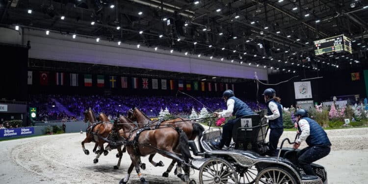 Équitation : La France au coeur des Mondiaux d’attelage 