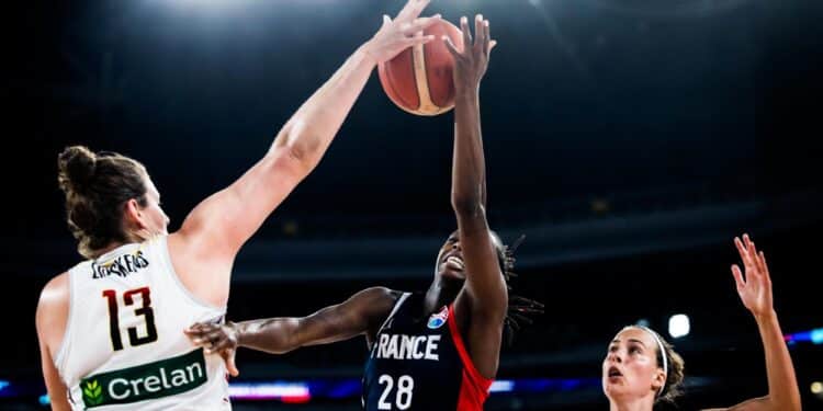 Basket : La France entame sa campagne européenne à Poitiers 