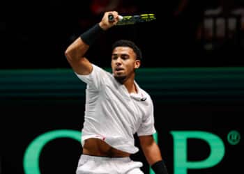 Tennis : La Coupe Davis, mal de tête des Bleus