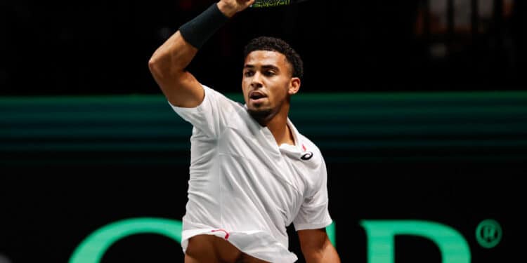 Tennis : La Coupe Davis, mal de tête des Bleus