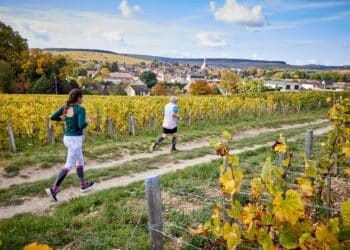 Grand cru 2023 pour le Marathon de Chablis